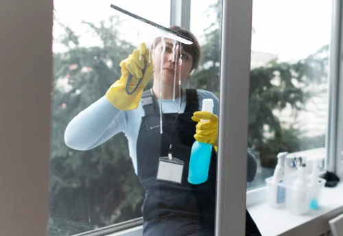 Nettoyage de vitres intérieures et extérieures à Poussanges